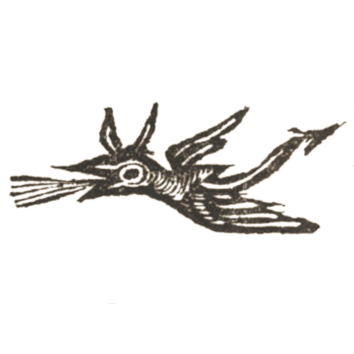 Strange Birds Records